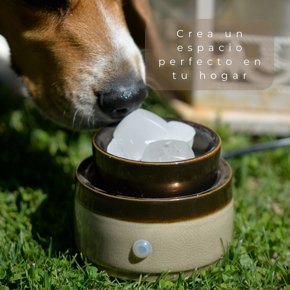 r ejemplo:  Calentador de Velas Cerámico ABB4US con 6 Ceras Perfumadas – Difusor Aromático Decorativo