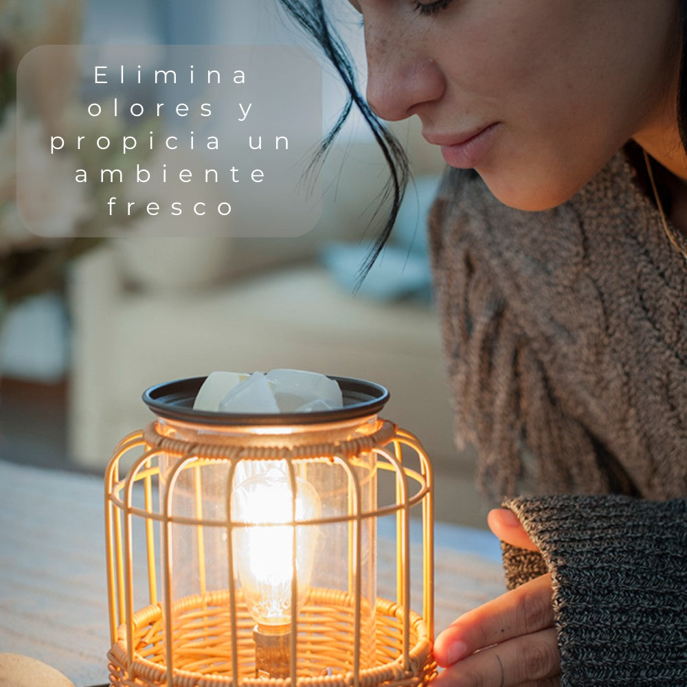 Calentador de Velas de Vidrio y Ratán ABB4US – Difusor Aromático Decorativo