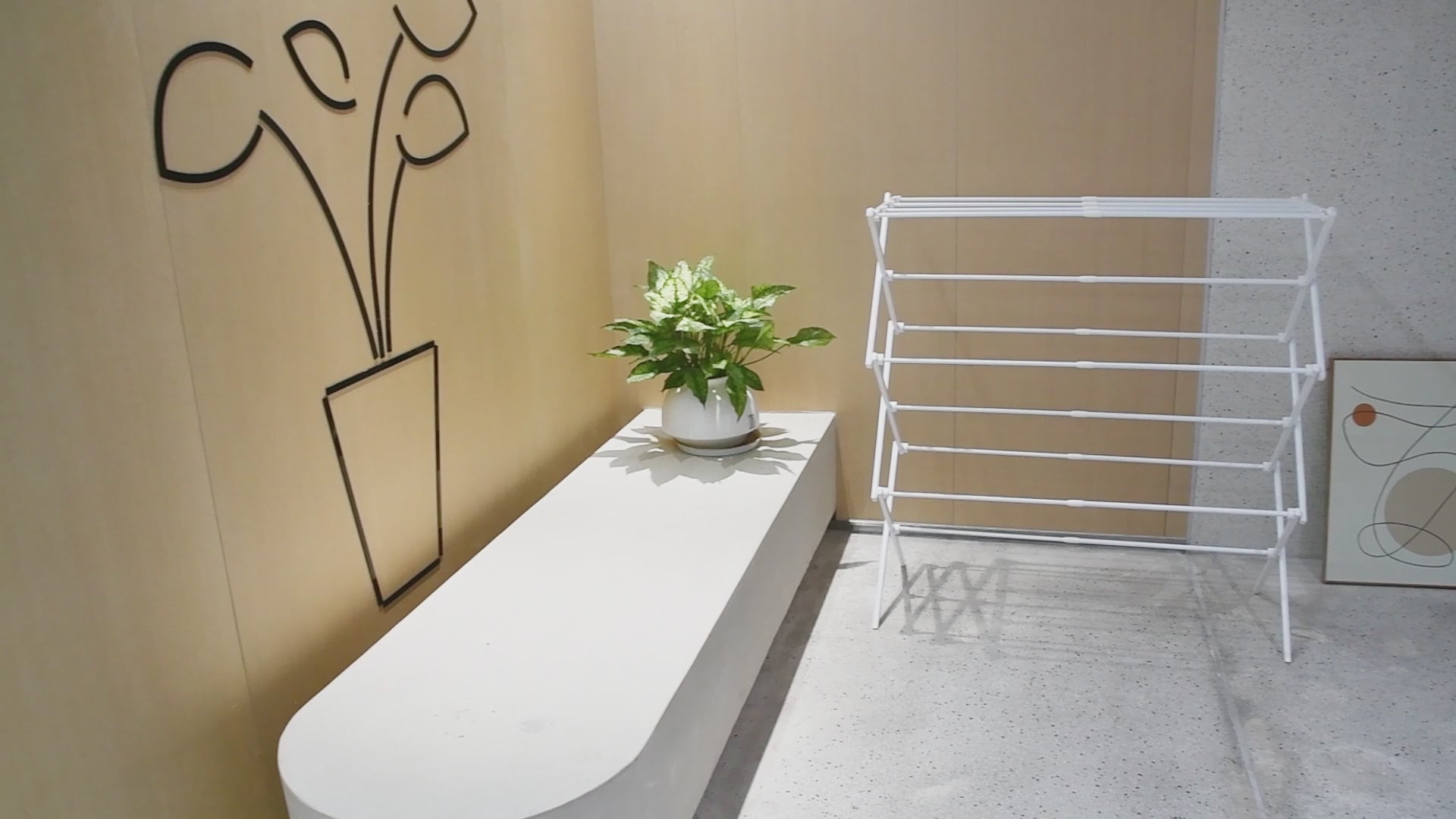 Cargar video: Producto bestseller en Amazon Europa